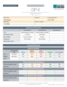 DP-4 Progress Report Sample