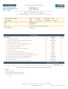 SPM-2 School Bus Form Sample Report