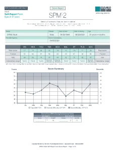SPM-2 Adult Sample Report