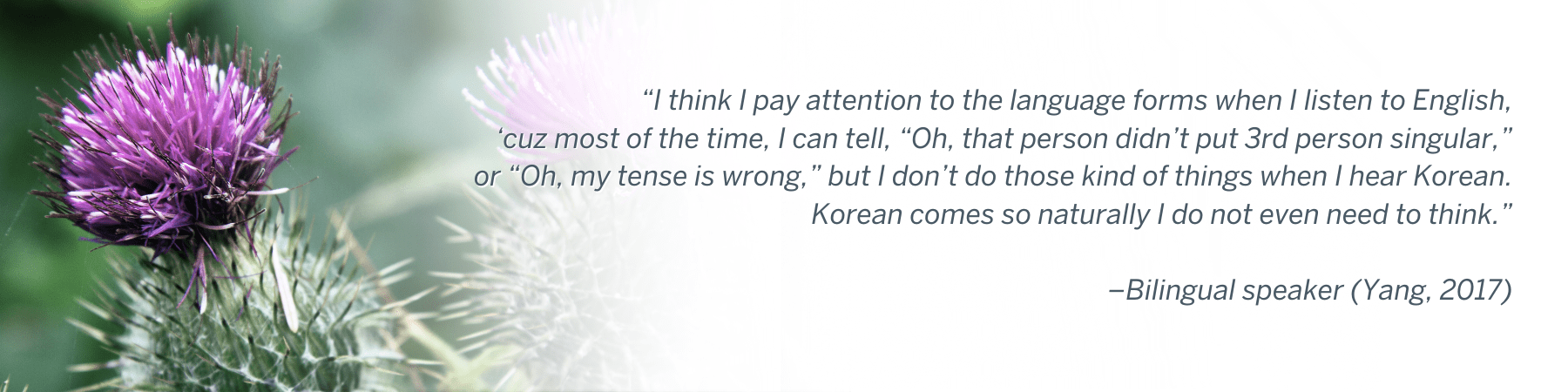 I think I pay attention to the language forms when I listen to English, ‘cuz most of the time, I can tell, “Oh, that person didn’t put 3rd person singular,” or “Oh, my tense is wrong,” but I don’t do those kind of things when I hear Korean. Korean comes so naturally I do not even need to think.” –Bilingual speaker (Yang, 2017)