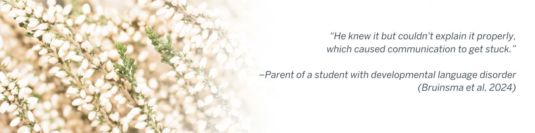 “He knew it but couldn't explain it properly, which caused communication to get stuck.” –Parent of a student with developmental language disorder (Bruinsma et al, 2024)