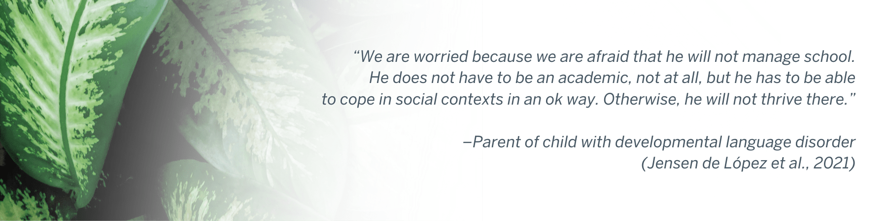 “We are worried because we are afraid that he will not manage school. He does not have to be an academic, not at all, but he has to be able to cope in social contexts in an ok way. Otherwise, he will not thrive there.”  –Parent of child with developmental language disorder (Jensen de López et al., 2021)
