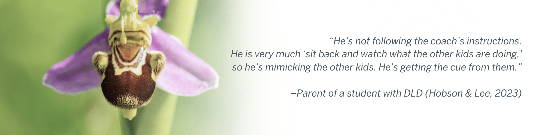 “He’s not following the coach’s instructions. He is very much ‘sit back and watch what the other kids are doing,' so he’s mimicking the other kids. He’s getting the cue from them.” –Parent of a student with DLD (Hobson & Lee, 2023)